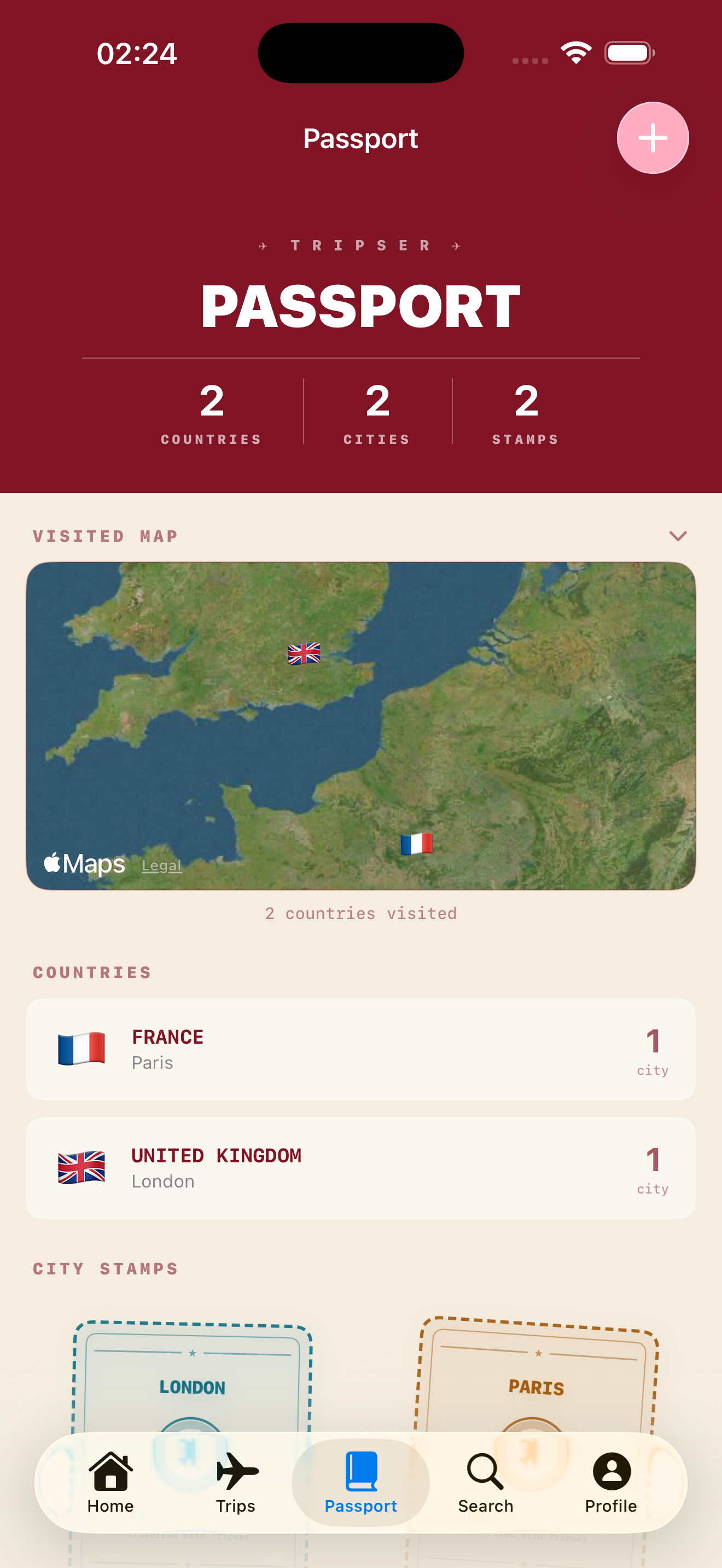 Travel passport with stamps